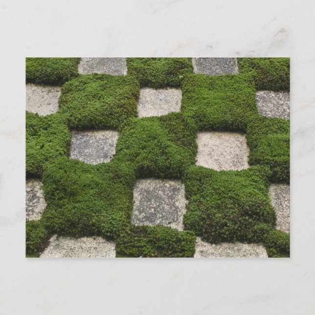 Japan, Kyoto, Tofukuji Temple, Garden Vykort (Framsida)