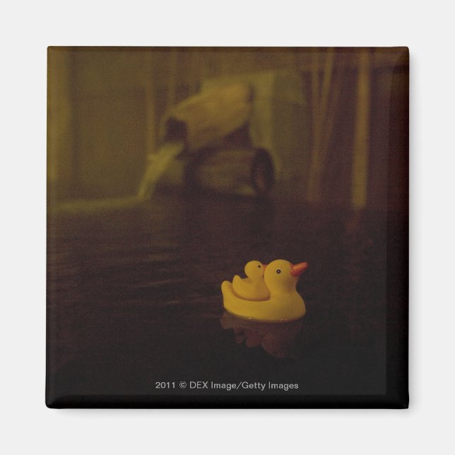 Japan Magnet (Framsidan)