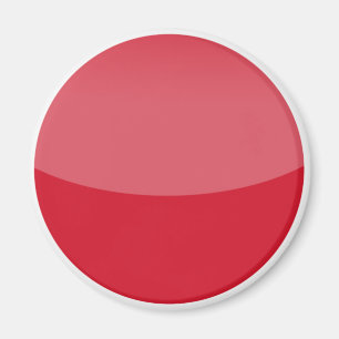 japan magnet