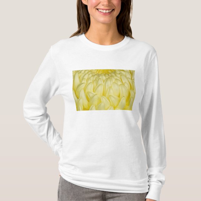 Japan, Mie, Ise Shrine, Krysantemum T-shirt (Framsida)