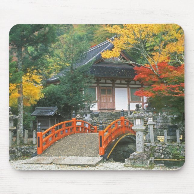 Japan, Nara, Ryuzenji-templet Musmatta (Framsidan)