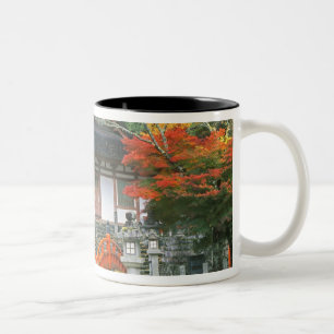 Japan, Nara, Ryuzenji-templet Två-Tonad Mugg