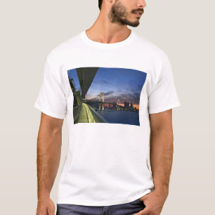 Japan. Tokyo. Regnbågsbron i Tokyobukten. Tee