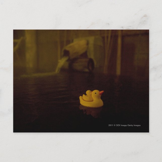 Japan Vykort (Framsida)