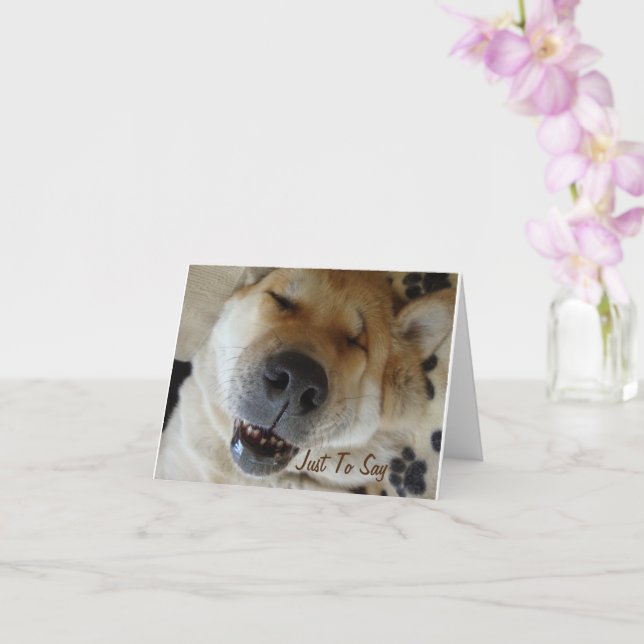 japanese akita hund med sött leende att tänka på d kort (Orkide)