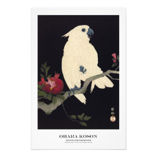 Japanese Art Print - Ohara Koson - Cockatoo Fototryck