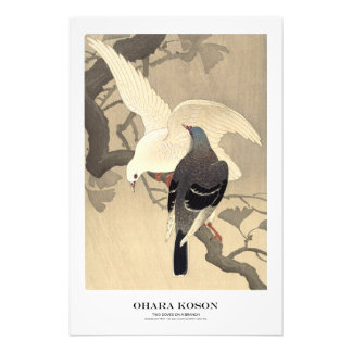 Japanese Art Print - Ohara Koson - Doves Fototryck