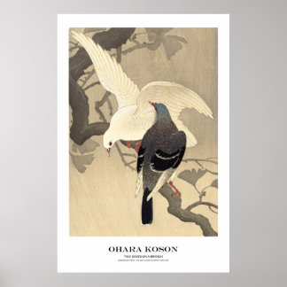 Japanese Art Print - Ohara Koson - Doves Poster