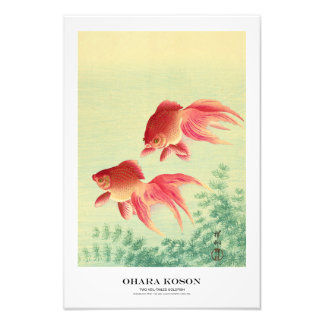 Japanese Art Print - Ohara Koson - Goldfish Fototryck