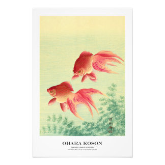 Japanese Art Print - Ohara Koson - Goldfish Fototryck