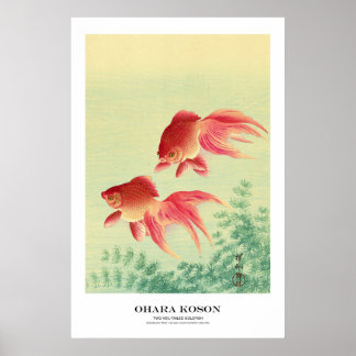 Japanese Art Print - Ohara Koson - Goldfish Poster