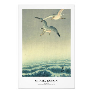 Japanese Art Print - Ohara Koson - Seagull Fototryck