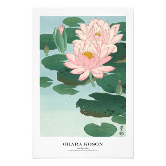Japanese Art Print - Ohara Koson - Water Lilies Fototryck