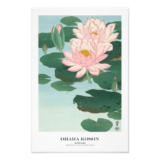 Japanese Art Print - Ohara Koson - Water Lilies Fototryck