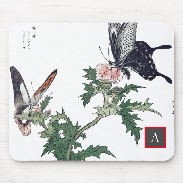JAPANESE BUTTERFLY MED ANPASSNINGSBARNA FLÖDEN INI MUSMATTA (Framsidan)