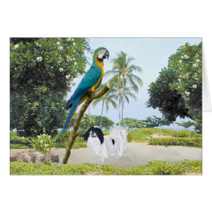 Japanese Chin och Macaw Hälsningskort
