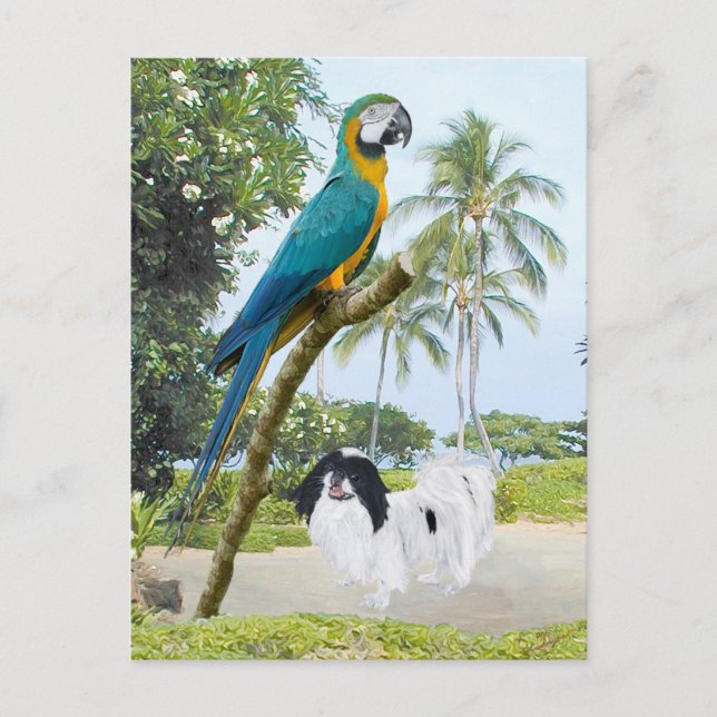 Japanese Chin och Macaw Vykort (Framsida)