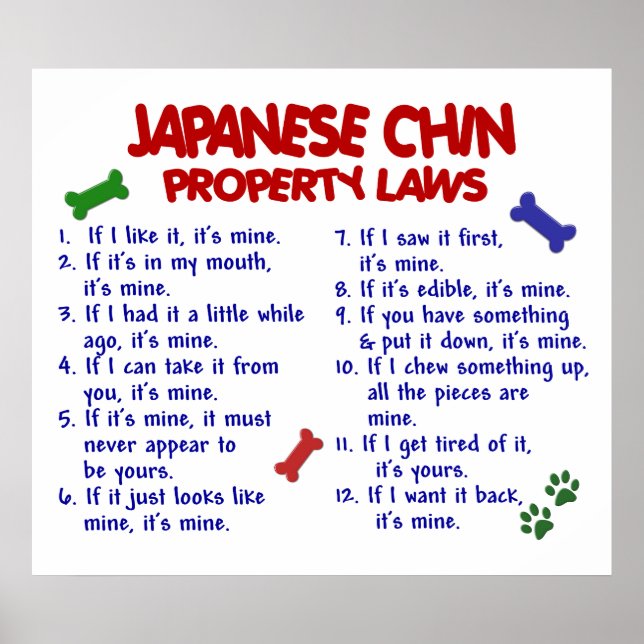 JAPANESE CHIN PL2 POSTER (Framsidan)