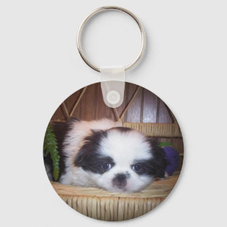 Japanese Chin Puppy Nyckelring
