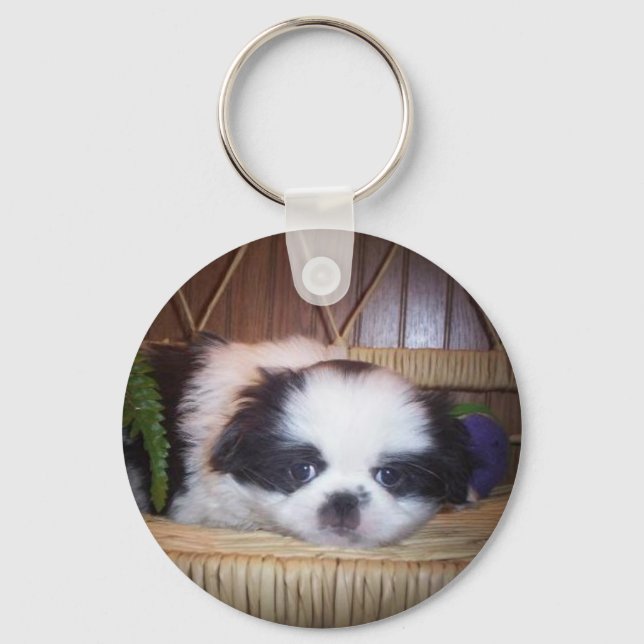 Japanese Chin Puppy Nyckelring (Framsida)