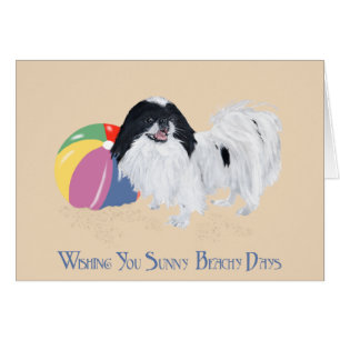 Japanese Chin Strandboll Hälsningskort