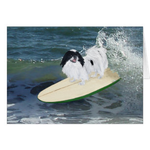 Japanese Chin Surfing Hälsningskort