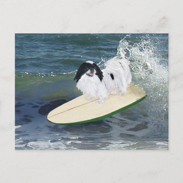 Japanese Chin Surfing Vykort (Framsida)