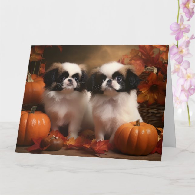 Japanese Chin Valp Höstglädje Pumpa  Kort (Orkide)