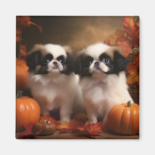 Japanese Chin Valp Höstglädje Pumpa  Magnet (Framsidan)