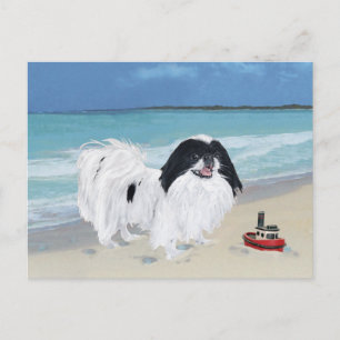 Japanese Chin vid stranden Vykort