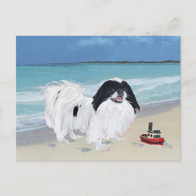 Japanese Chin vid stranden Vykort (Framsida)