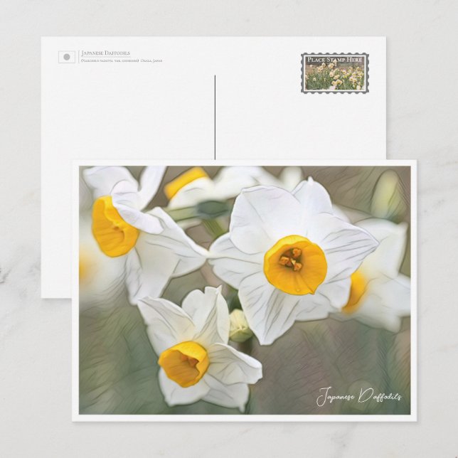 Japanese Daffodils Vykort (Fram/baksida)