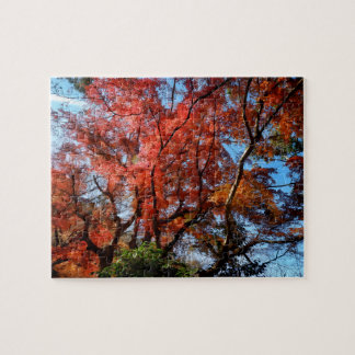 Japanese Maples Pussel