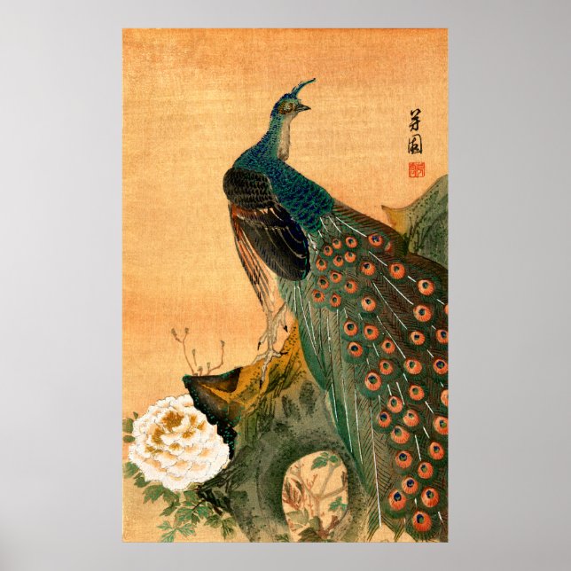 Japanese Peacock no.2 Poster (Framsidan)
