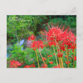 JAPANESE SHANGRI-LA [Postcard] Vykort