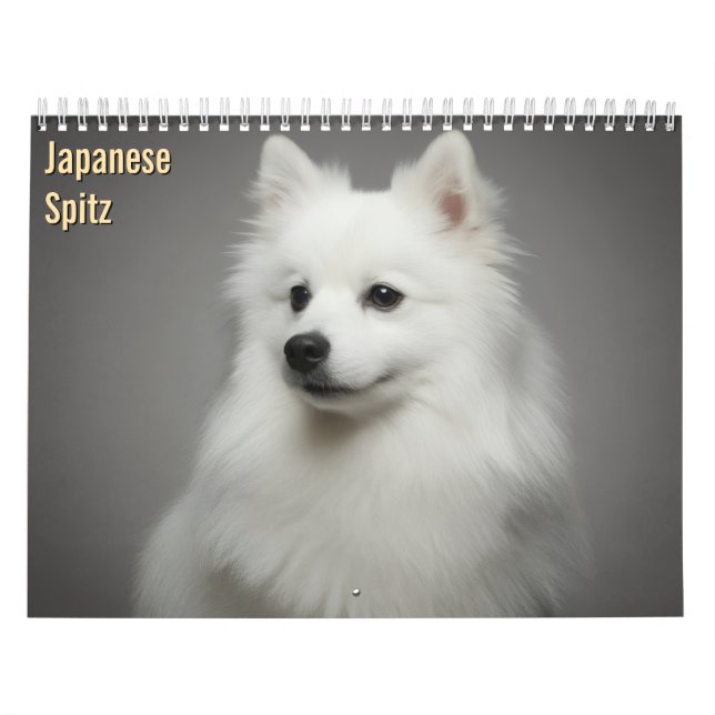 Japanese Spitz 2027 Väggkalender Kalender (Omslag)