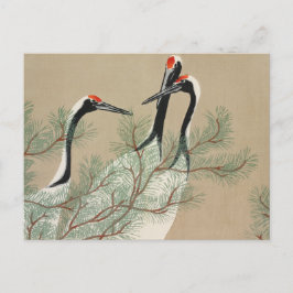 Japanese woodblock-print Cranes - Kamisaka Sekka Vykort