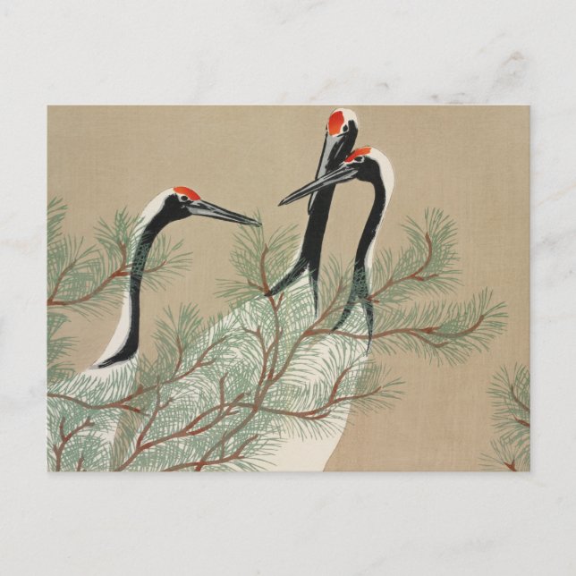 Japanese woodblock-print Cranes - Kamisaka Sekka Vykort (Framsida)