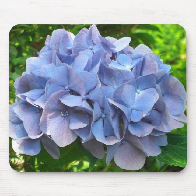 japanflower musmatta (Framsidan)