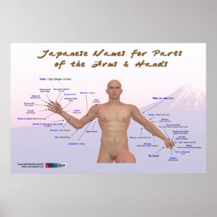Japannamn för delar av ärmar & händer poster