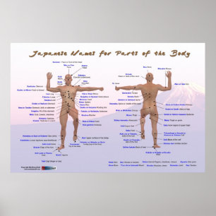 Japannamn för delar av förkroppsliga poster
