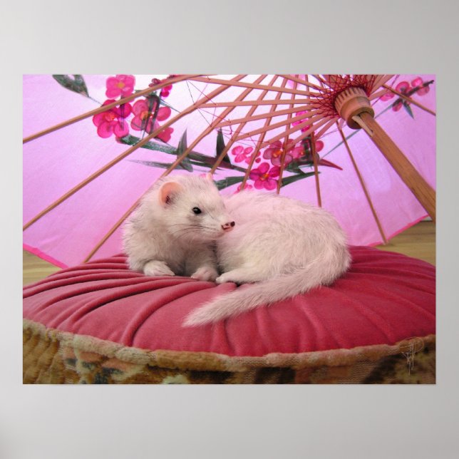 Japans bryggning poster (Framsidan)