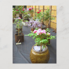 Japans landskap [vykort] vykort