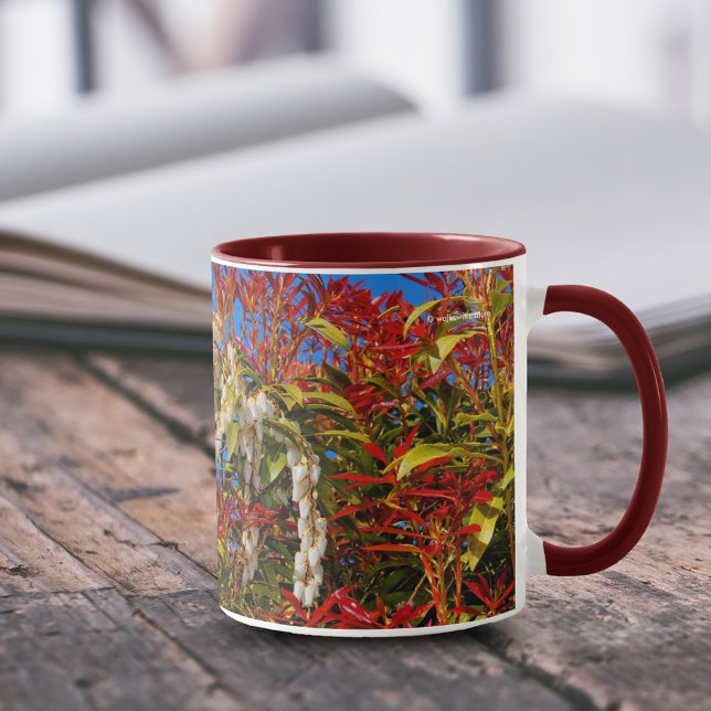 Japansk Andromeda Bonfire Mugg (Japanese Andromedia Bonfire Shrub 11 oz Coffee Mug Cover Photo.)