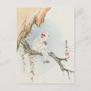Japansk apa vykort