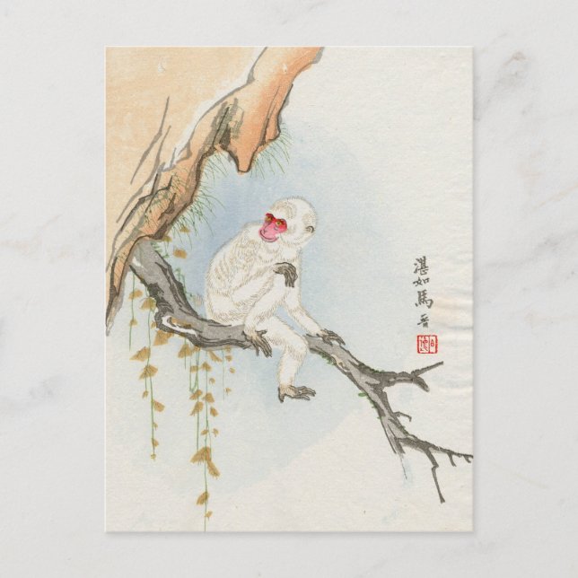 Japansk apa vykort (Framsida)