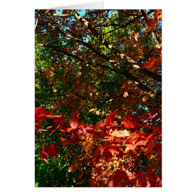 Japansk apel på hösten hälsningskort (Framsidan)