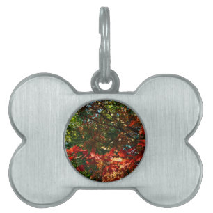 Japansk apel på hösten namnbricka husdjur