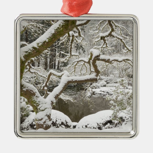 Japansk apelmussla med Snö Julgransprydnad Metall (Framsidan)