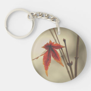 Japansk aple Löv Vintage Stil